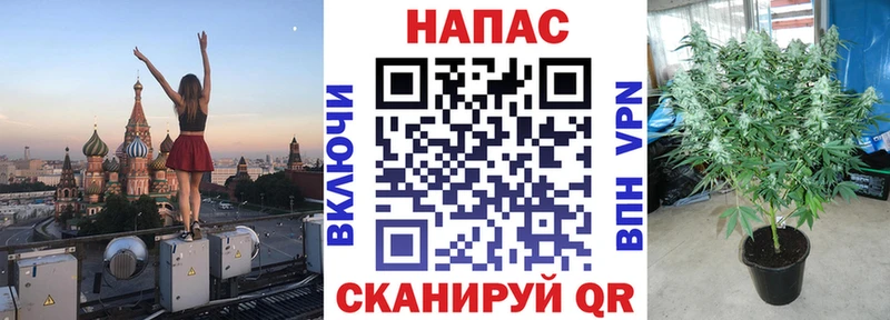 Шишки марихуана тримм  закладка  Урус-Мартан 
